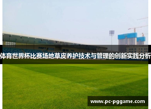 体育世界杯比赛场地草皮养护技术与管理的创新实践分析 体育世界杯比赛场地草皮养护技术与管理的创新实践分析