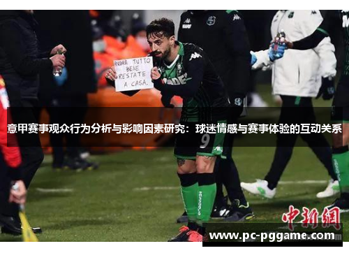 意甲赛事观众行为分析与影响因素研究:球迷情感与赛事体验的互动关系 意甲赛事观众行为分析与影响因素研究:球迷情感与赛事体验的互动关系