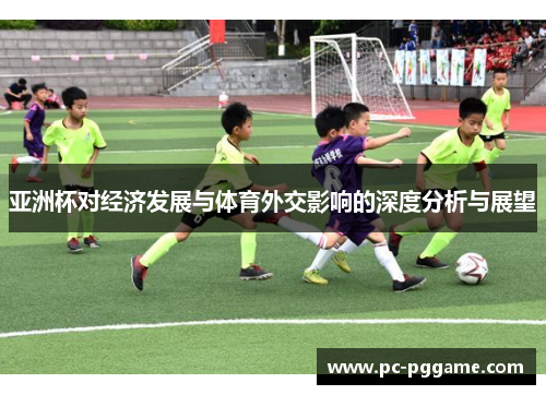 亚洲杯对经济发展与体育外交影响的深度分析与展望 亚洲杯对经济发展与体育外交影响的深度分析与展望