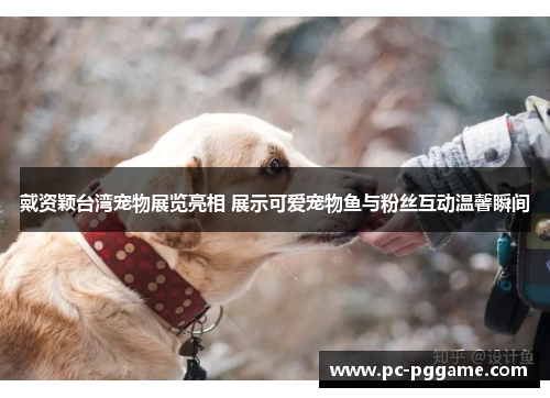 戴资颖台湾宠物展览亮相 展示可爱宠物鱼与粉丝互动温馨瞬间 戴资颖台湾宠物展览亮相 展示可爱宠物鱼与粉丝互动温馨瞬间