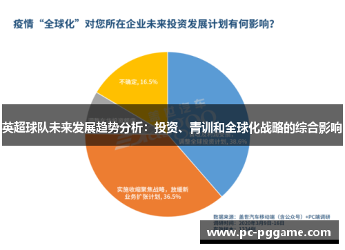 英超球队未来发展趋势分析：投资、青训和全球化战略的综合影响