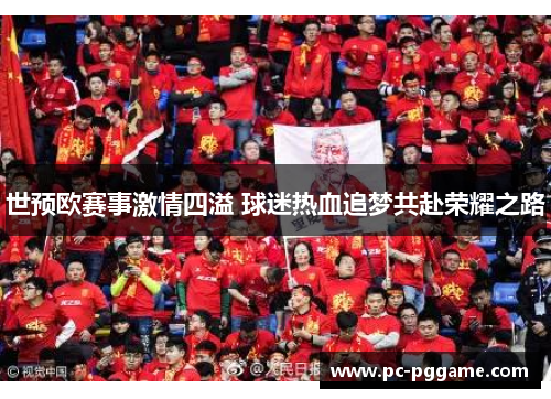 世预欧赛事激情四溢 球迷热血追梦共赴荣耀之路