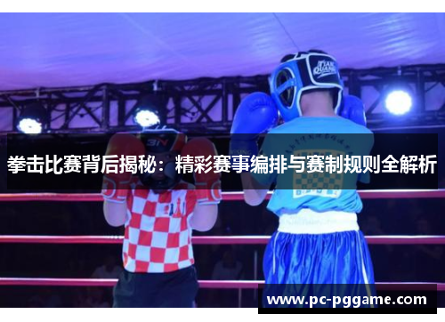 拳击比赛背后揭秘：精彩赛事编排与赛制规则全解析