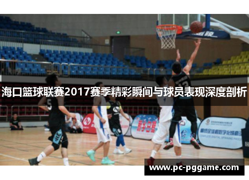 海口篮球联赛2017赛季精彩瞬间与球员表现深度剖析