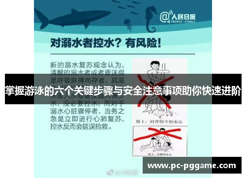 掌握游泳的六个关键步骤与安全注意事项助你快速进阶