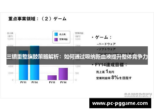 三镇重整旗鼓策略解析:如何通过吸纳新血液提升整体竞争力 三镇重整旗鼓策略解析:如何通过吸纳新血液提升整体竞争力