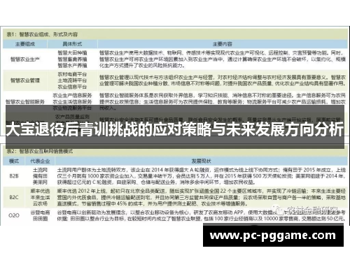 大宝退役后青训挑战的应对策略与未来发展方向分析
