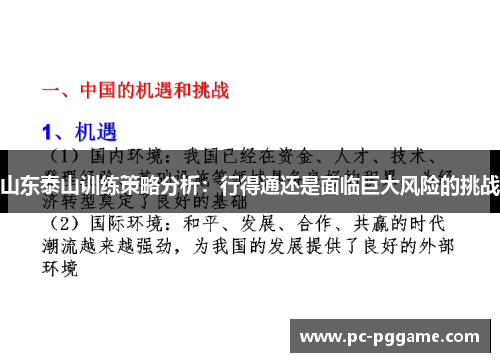 山东泰山训练策略分析：行得通还是面临巨大风险的挑战
