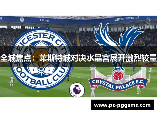 全城焦点：莱斯特城对决水晶宫展开激烈较量