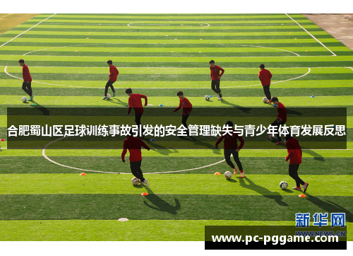合肥蜀山区足球训练事故引发的安全管理缺失与青少年体育发展反思 合肥蜀山区足球训练事故引发的安全管理缺失与青少年体育发展反思