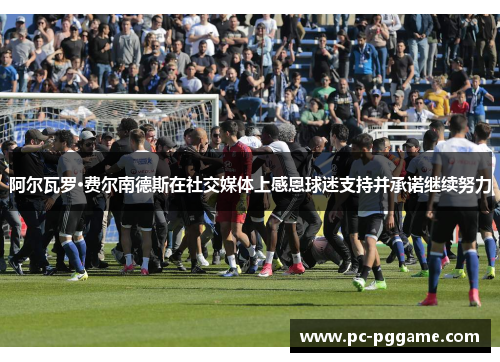 阿尔瓦罗·费尔南德斯在社交媒体上感恩球迷支持并承诺继续努力 阿尔瓦罗·费尔南德斯在社交媒体上感恩球迷支持并承诺继续努力