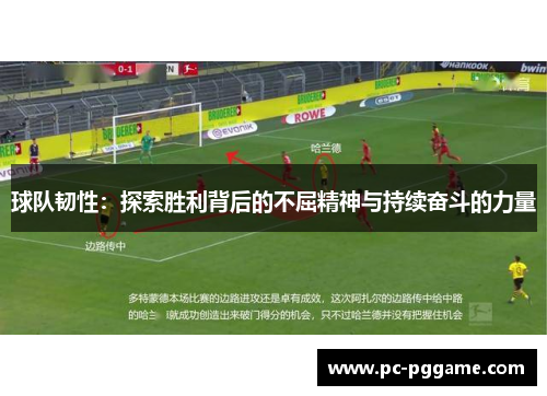 球队韧性：探索胜利背后的不屈精神与持续奋斗的力量