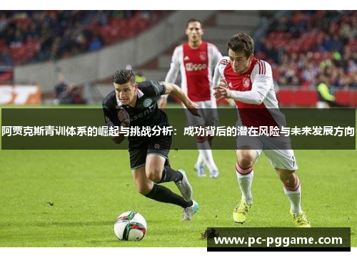 阿贾克斯青训体系的崛起与挑战分析：成功背后的潜在风险与未来发展方向
