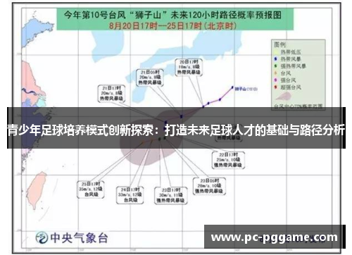 青少年足球培养模式创新探索：打造未来足球人才的基础与路径分析