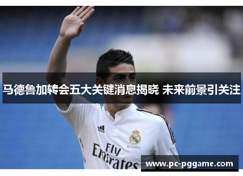 马德鲁加转会五大关键消息揭晓 未来前景引关注