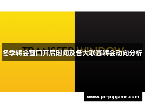 冬季转会窗口开启时间及各大联赛转会动向分析 冬季转会窗口开启时间及各大联赛转会动向分析