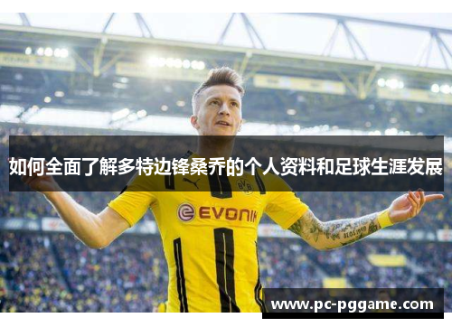 如何全面了解多特边锋桑乔的个人资料和足球生涯发展