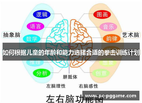 如何根据儿童的年龄和能力选择合适的拳击训练计划