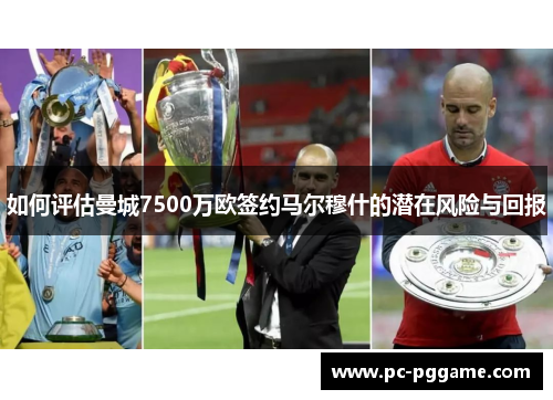 如何评估曼城7500万欧签约马尔穆什的潜在风险与回报