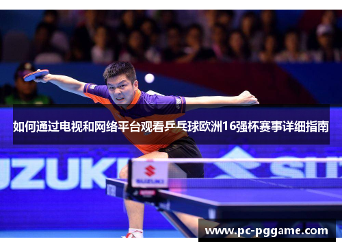 如何通过电视和网络平台观看乒乓球欧洲16强杯赛事详细指南