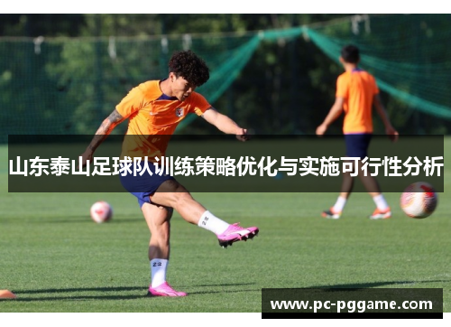 山东泰山足球队训练策略优化与实施可行性分析
