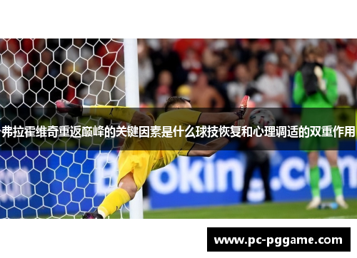 弗拉霍维奇重返巅峰的关键因素是什么球技恢复和心理调适的双重作用