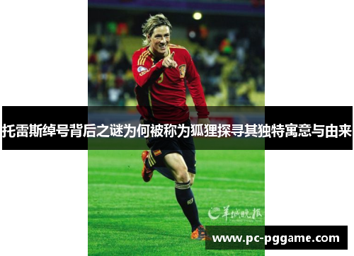 托雷斯绰号背后之谜为何被称为狐狸探寻其独特寓意与由来